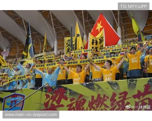 球迷为球队制作大型应援旗帜刷屏社交媒体，球员应援口号